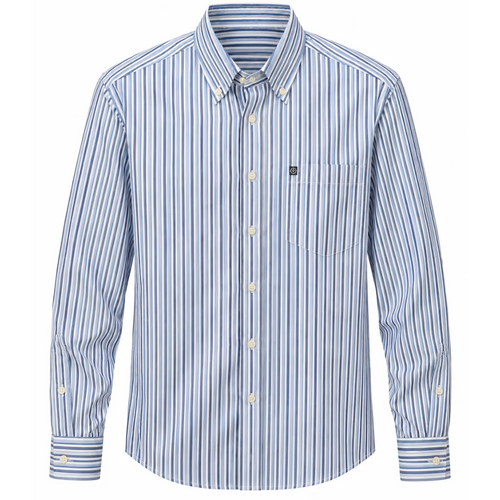 camicia rigata botton down