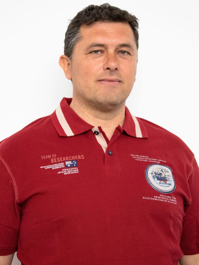 Polo strutturata