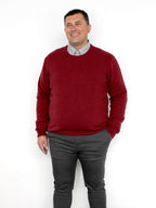 Maglia